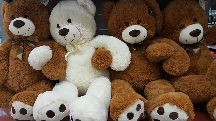 white teddy bear toy, plush, teddy bear HD wallpaper