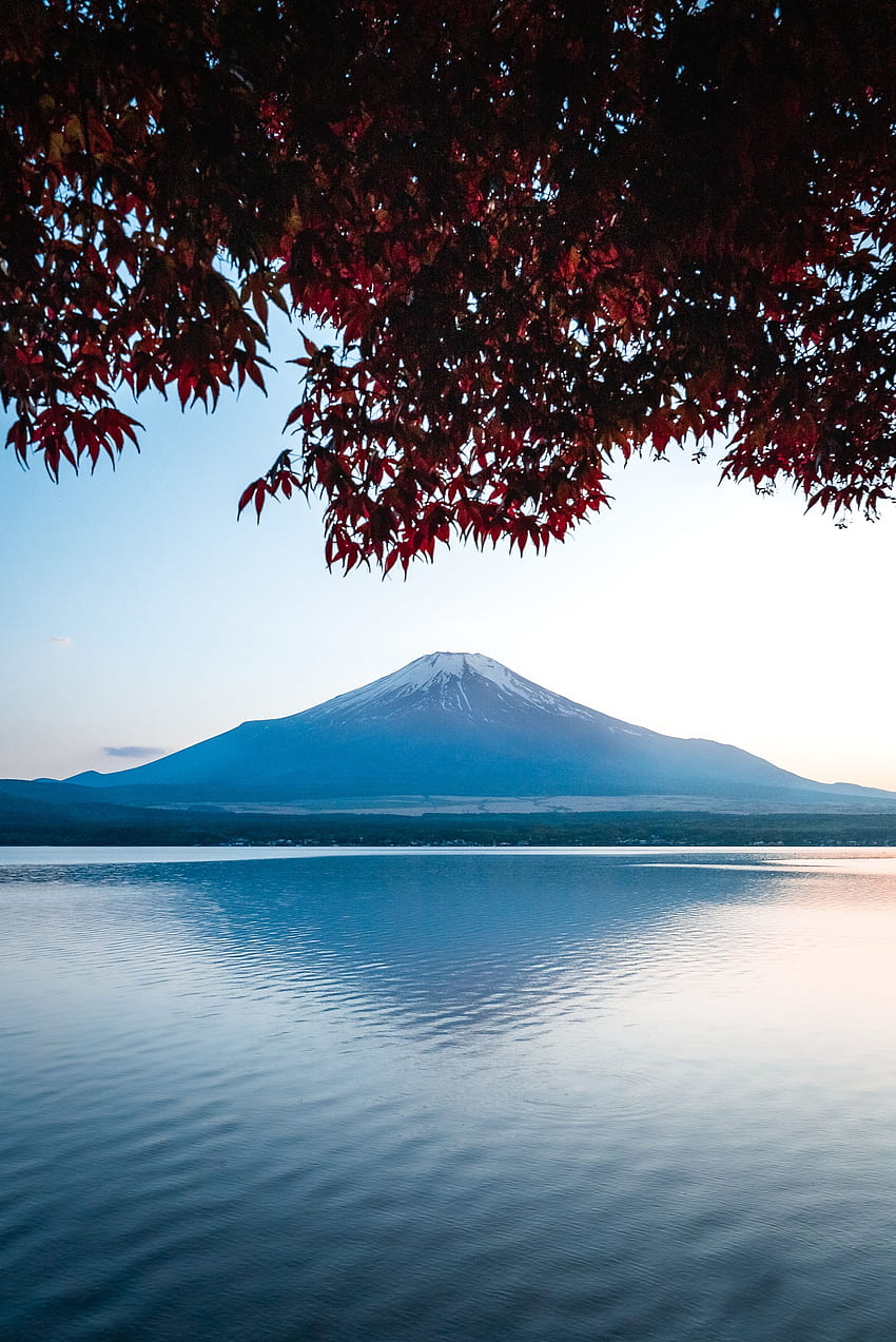 Paesaggio, Natura, Montagna, Lago, Giappone, Fuji Sfondo del telefono HD
