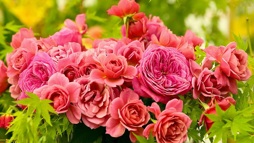 Pink Bouquet, pink, bouquet, roses, nature, flowers HD wallpaper | Pxfuel
