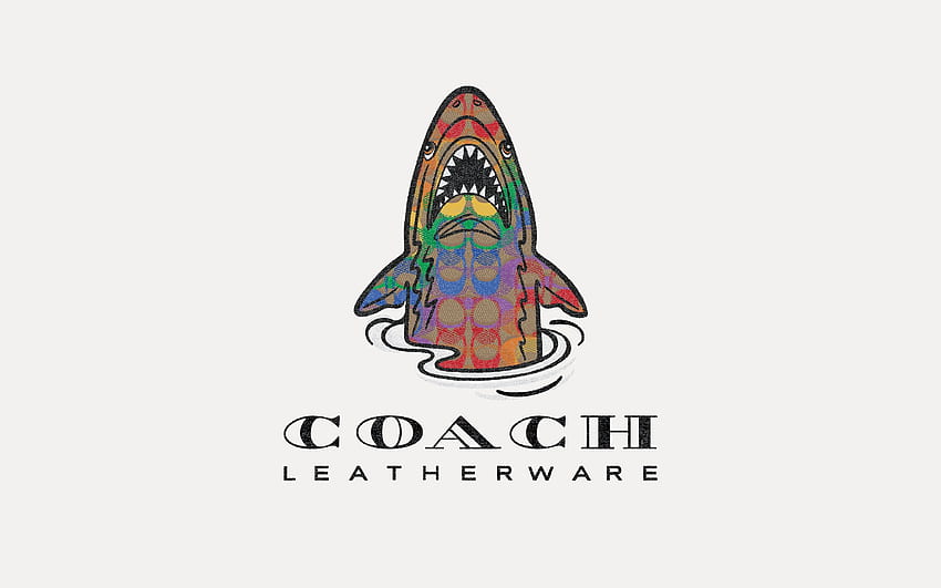 Situs Situs Coach_US, Logo Pelatih Wallpaper HD