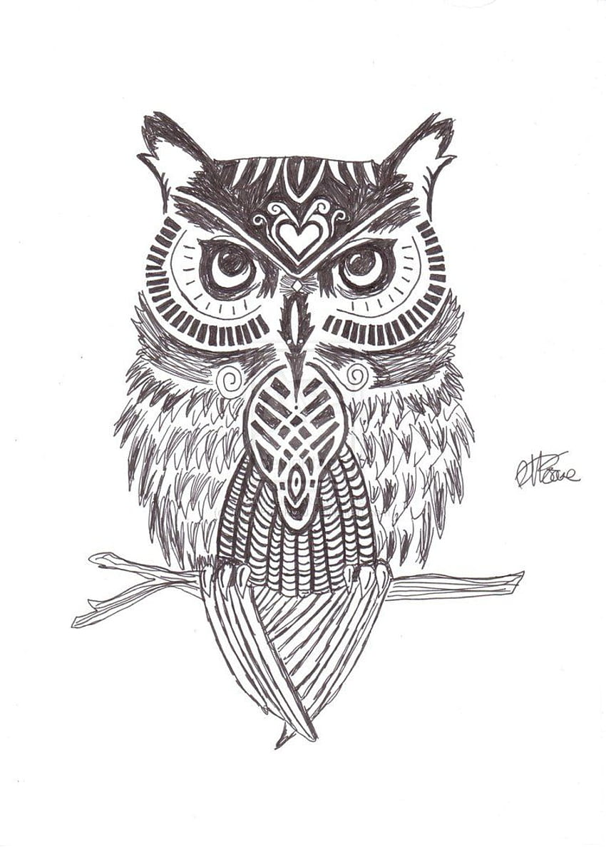 Owl Against Background Vegetative Ornamentation Tattoo Stock Vector  Royalty Free 614611172  Shutterstock