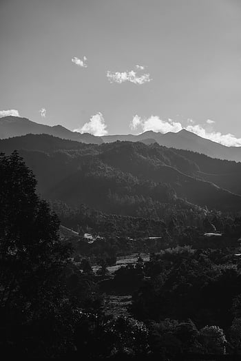 Foggy, Mountain, Gray, Tree, Grey, Bw, B&w, Landscape, , Negative Space ...