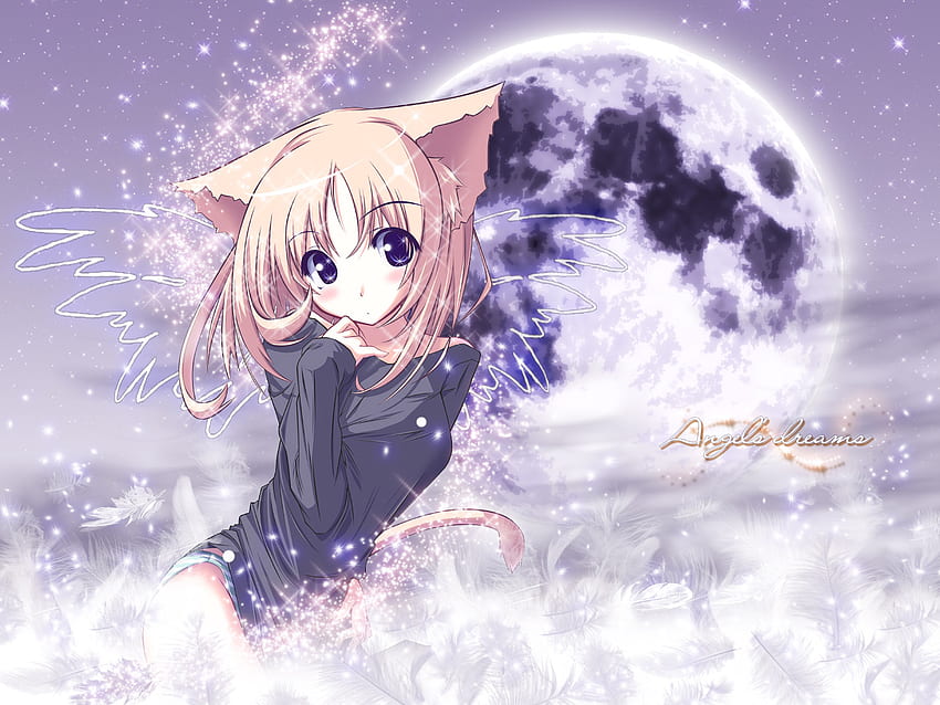 anime cat girl, cat ears, cute, kawai, catgirl, long hair, purple eyes, gir, cat tail, anime, moon, pretty, blonde hair, blush, solo HD wallpaper