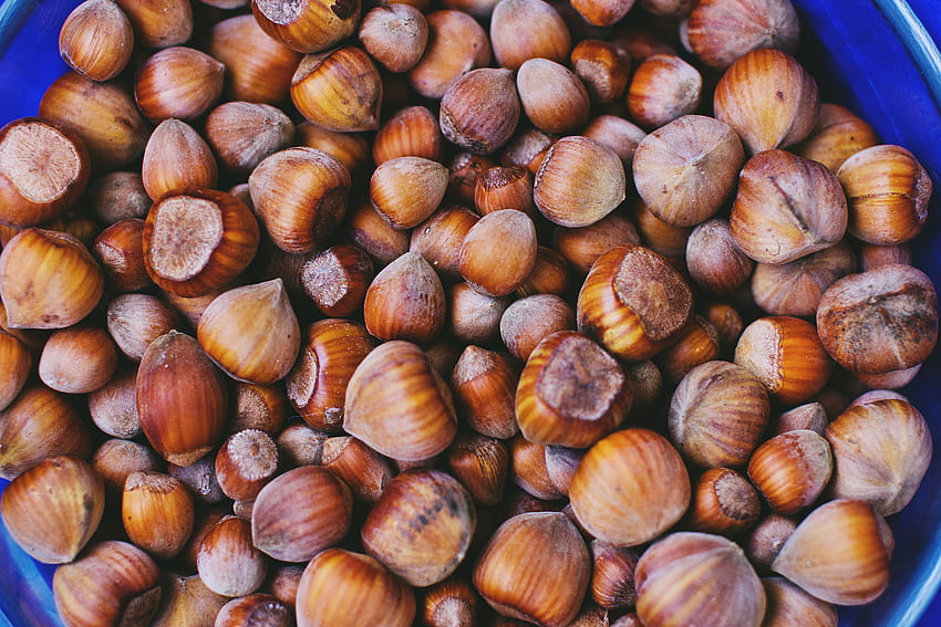 Food, Nuts, Shell, Hazelnut HD wallpaper