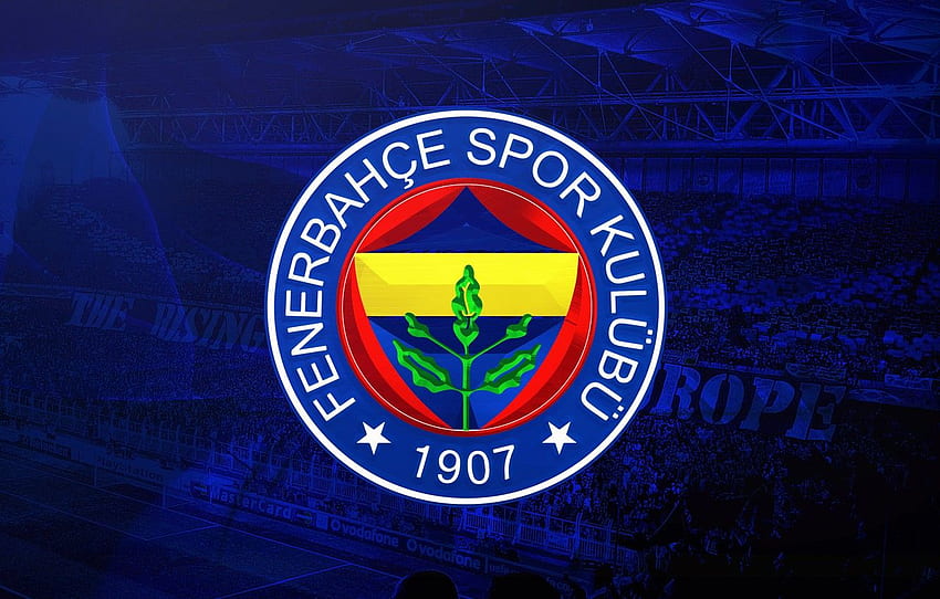 スポーツ、ロゴ、スタジアム、サッカー、ファン、Fenerbahçe 高画質の壁紙