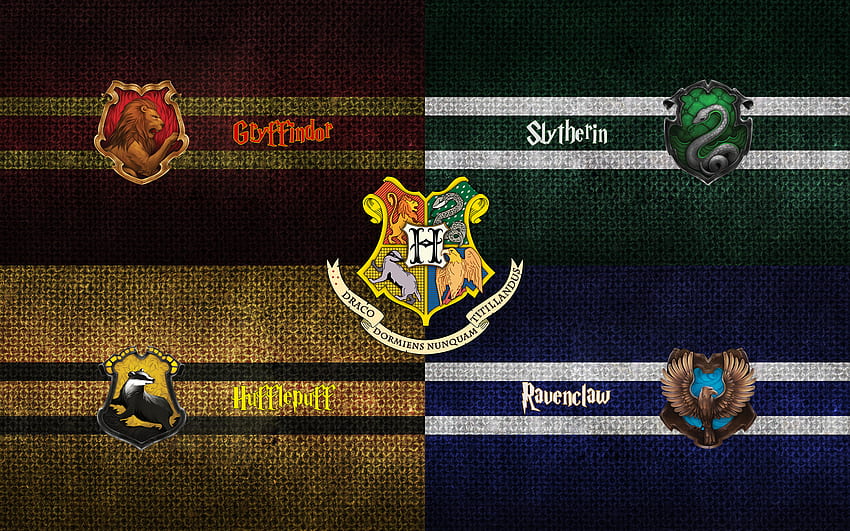 Harry Potter: Hogwarts Houses, Harry Potter 1920X1200 HD wallpaper | Pxfuel