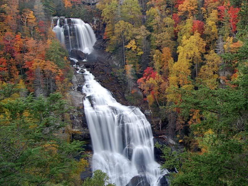Waterfalls, trees, colored, water, fall HD wallpaper