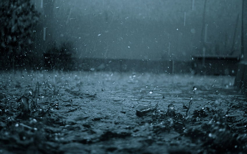 Nature, Rain, Drops, Spray, Grayness, Greyness, Shower, Downpour, Bad Weather HD wallpaper