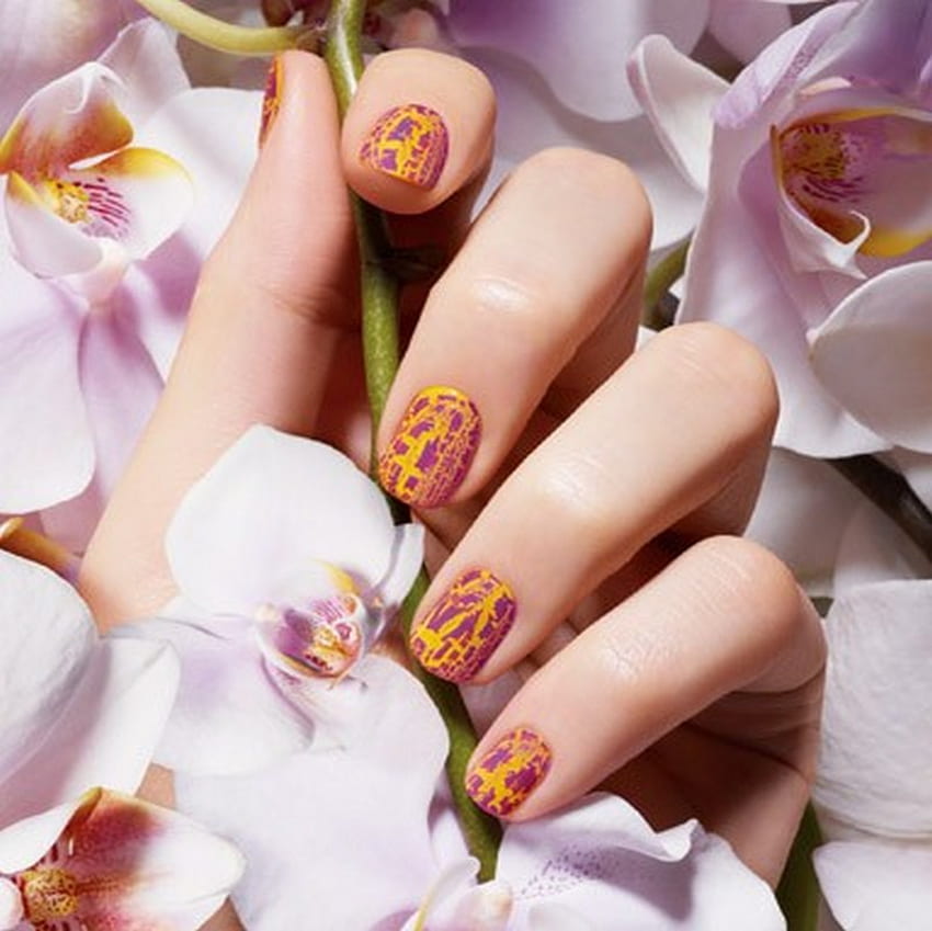 orchid, manicure, nails, hand HD wallpaper