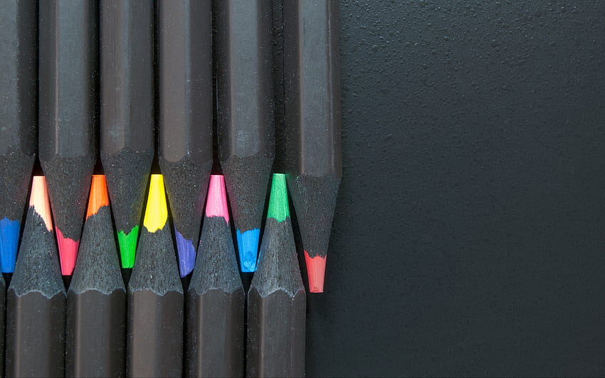Color Pencils, Honed, Minimalism & Background HD wallpaper
