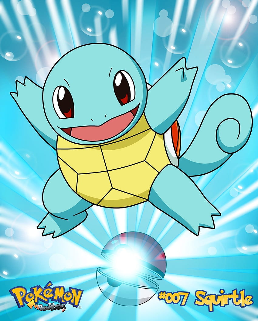 Squirtle HD phone wallpaper