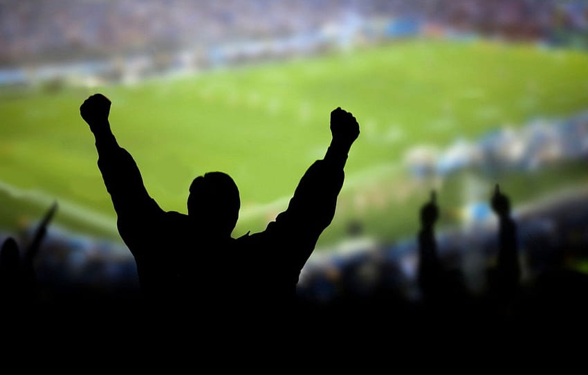 Sport, Stadion, Fußball, Fans, Emotionen für , Abschnitt спорт HD-Hintergrundbild