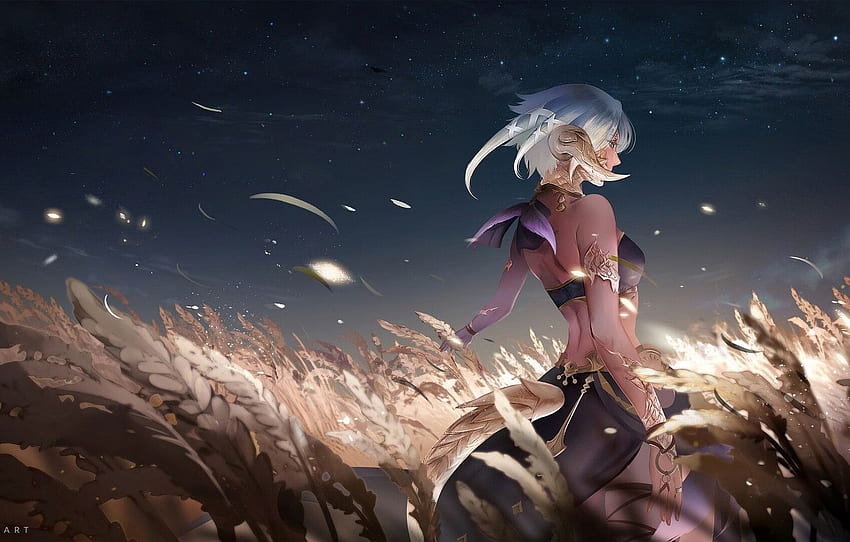 Girl, Field, The game, Girl, Art, Night, Spikelets, Illustration, Final Fantasy XIV, Game Art, by Lizhe Liang, Lizhe Liang, Ziv, The Ra for , раздел арт HD тапет