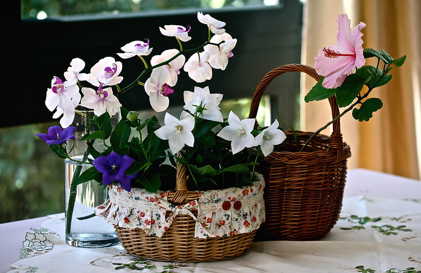 Flowers, Bluebells, Glass, Basket, Hibiscus, Orchid, Baskets, Tablecloth HD wallpaper