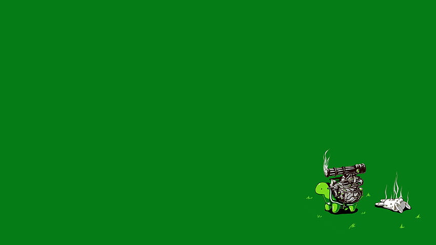 Cute Turtle HD wallpaper Cute Turtle HD wallpaper