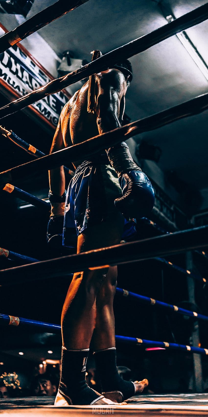 şeref için, onur 9s, chiang mai'de boks eldivenleri giyen ringde duran bir erkek dövüşçü. Mocah, Anime Boks HD telefon duvar kağıdı