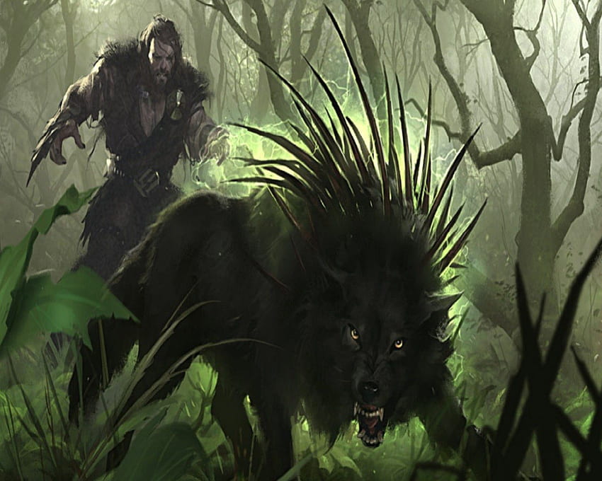 Hunter Of The Damn Souls, Hunter, Hell Hound, Magic, Woods, Fantasy HD wallpaper