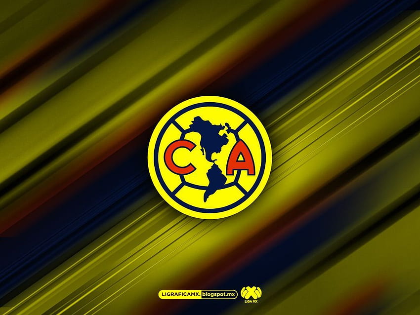 America aguilas HD wallpapers | Pxfuel
