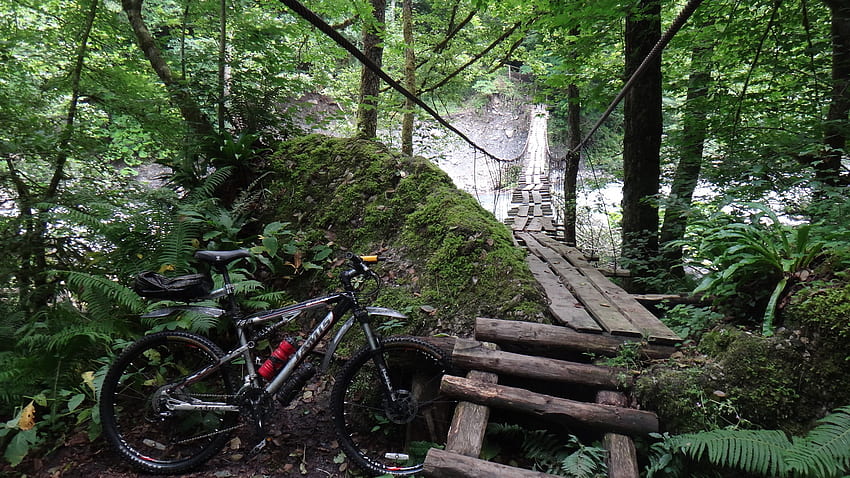 ภูเขา จักรยาน จักรยาน สะพาน ธรรมชาติ ทิวทัศน์ ต้นไม้ ป่า พื้นหลังกีฬา / และมือถือ เส้นทาง MTB วอลล์เปเปอร์ HD