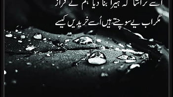 50+ Subha Bakhair Good Morning Images in Urdu