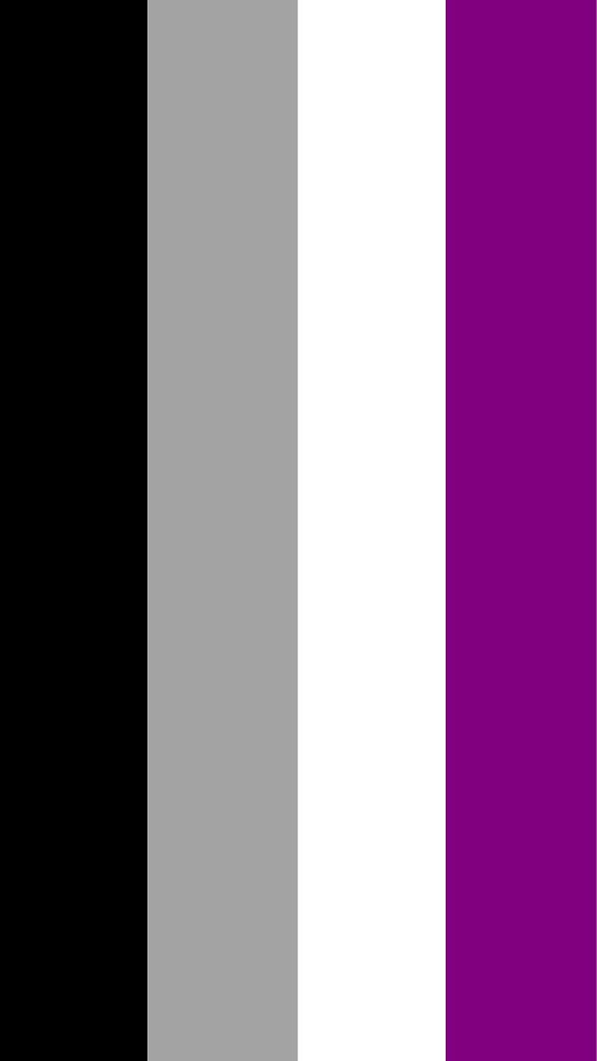 I Made A Mobile Of The Flag, Let Me Know What Phone You Have And I'll Make The Perfect Size For You. This One Is IPhone 6: px [xpost R Asexual] HD phone wallpaper