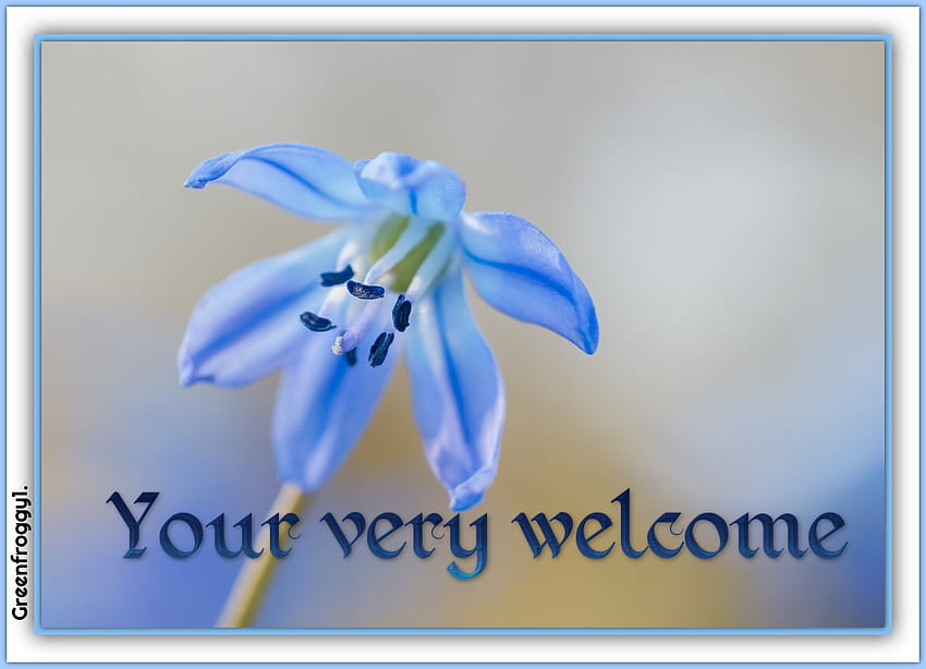 your-very-welcome-very-comment-card-welcome-hd-wallpaper-pxfuel