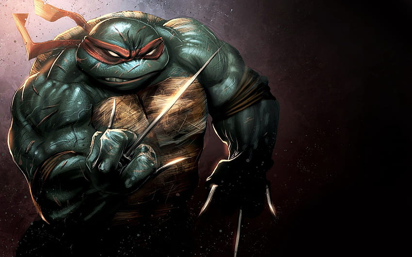 Raphael Teenage Mutant Ninja Turtles, Anime Ninja Turtles HD wallpaper