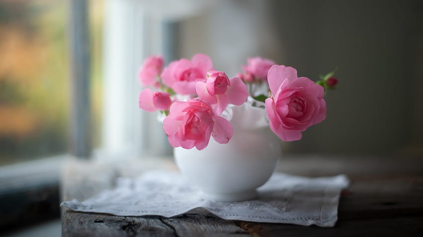 バラ, ピンク, 花瓶, 窓 高画質の壁紙