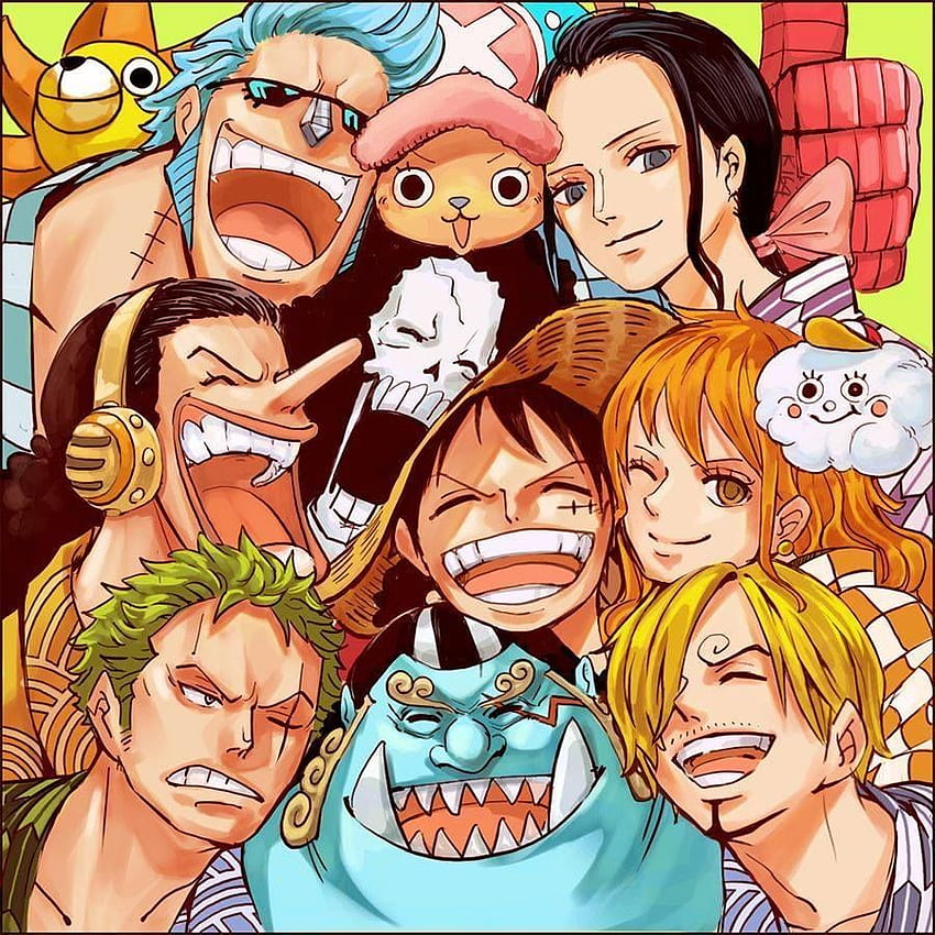 Anime One Piece -- mugiwara