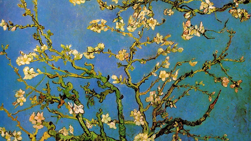 Almond Tree Van Gogh X PIC MCH039512, Van Gogh Almond Blossoms HD wallpaper