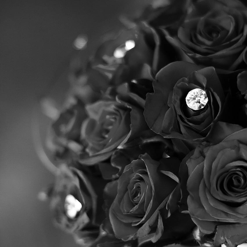 Rose Flower With Diamond Dark Bw Love Propose iPad Air, Diamond Black HD phone wallpaper