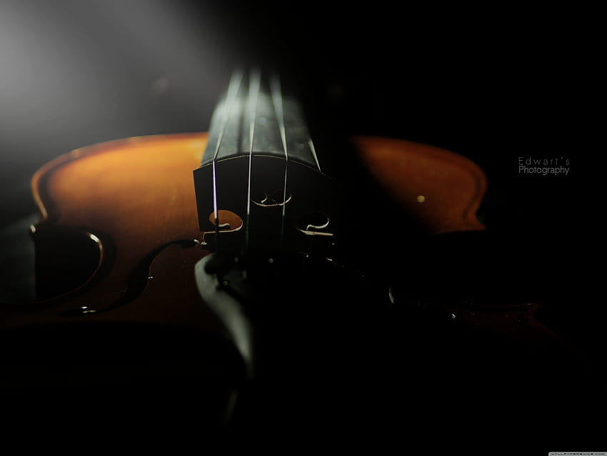 Violin 6 ., Double Bass HD wallpaper
