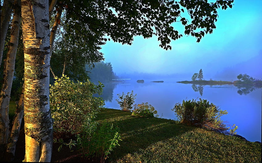 Lakeside Morning Mist, árboles, abedules, montañas, agua fondo de pantalla