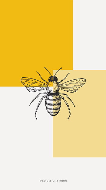 Share more than 87 bee aesthetic wallpaper latest - in.coedo.com.vn