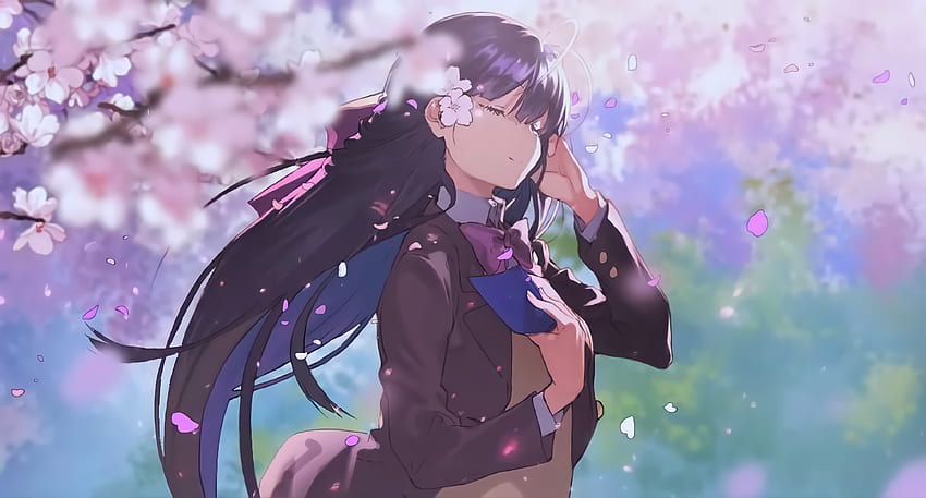 Sakura Blossom, komi, Asuka HD wallpaper