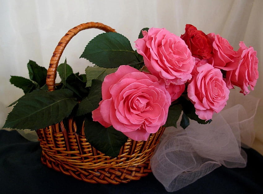 Flowers, Roses, Basket, Scarf HD wallpaper