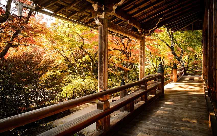 Jeffrey Friedl's Blog This Season's First Fall Foliage Outing, Kyoto Street HD wallpaper