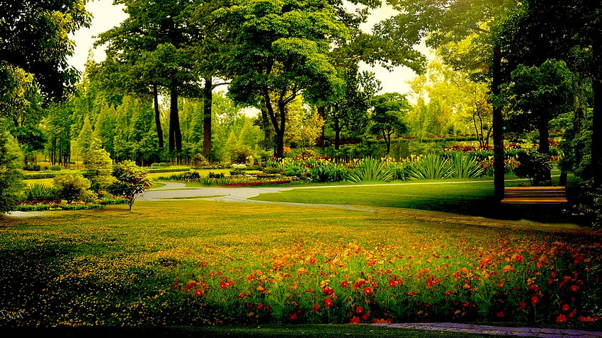 Ботаническа градина, храсти, дървета, градина, красиви, цветя, ботанически, червенокафяв, графика, морава, червено, зелено, природа HD тапет