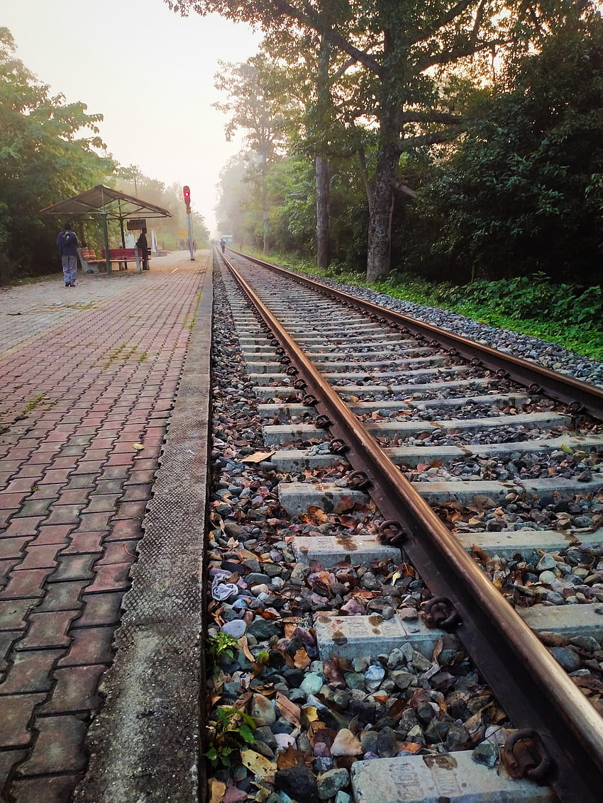 Beleza indiana, natureza, linha, ferrovia, trem Papel de parede de celular HD