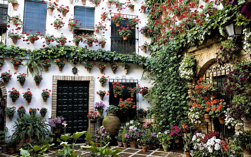 건물, 꽃, 잡다한 것, 잡다한, 집, 잘생겼다, 아름답다 HD 월페이퍼