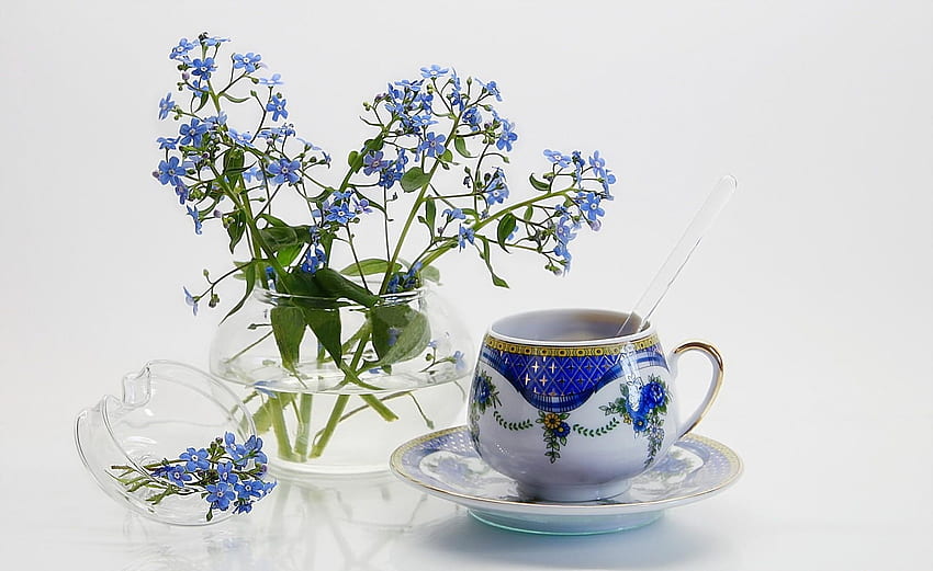 Flowers, Jug, Small, Forget-Me-Nots, Tea Pair HD wallpaper