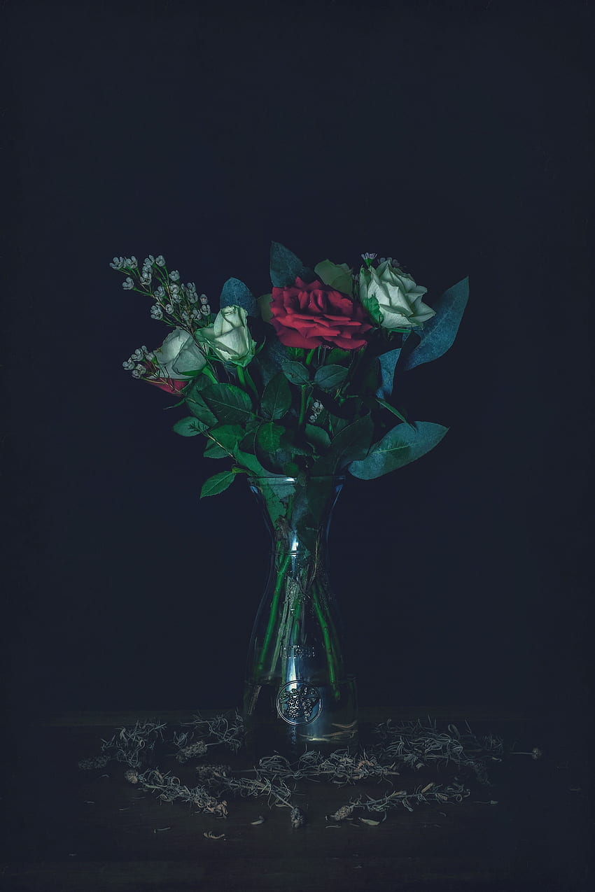 Roses, Dark, Bouquet, Vase HD phone wallpaper