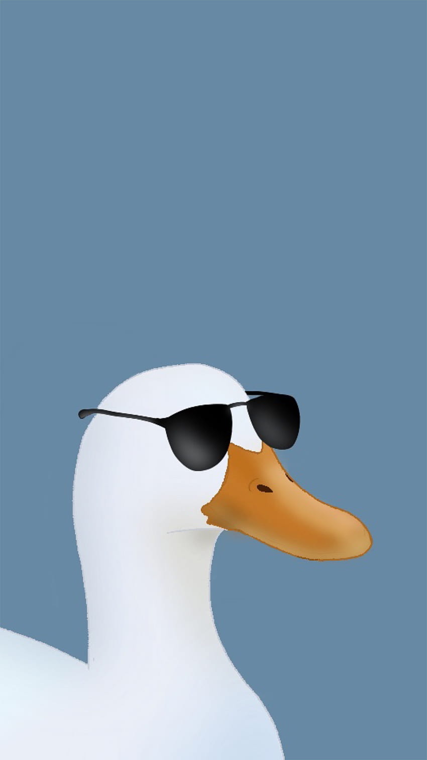 Duck with sunglasses very cool animal funny HD phone wallpaper  Pxfuel