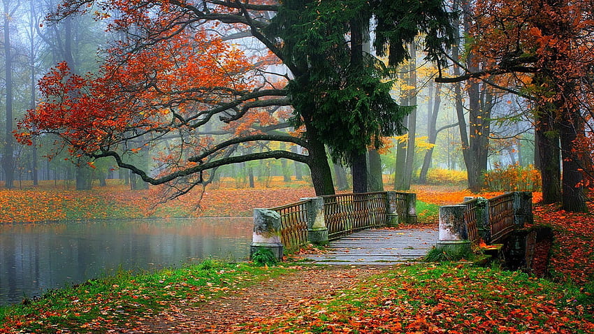 Autumn tree leaves beauty nature landscape lake bridge ., Beautiful ...