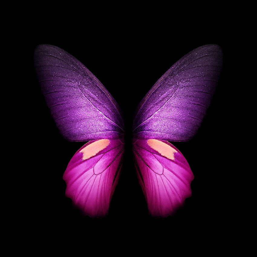 You can the Live from the Galaxy Fold right here - SamMobile, Android Butterfly HD phone wallpaper