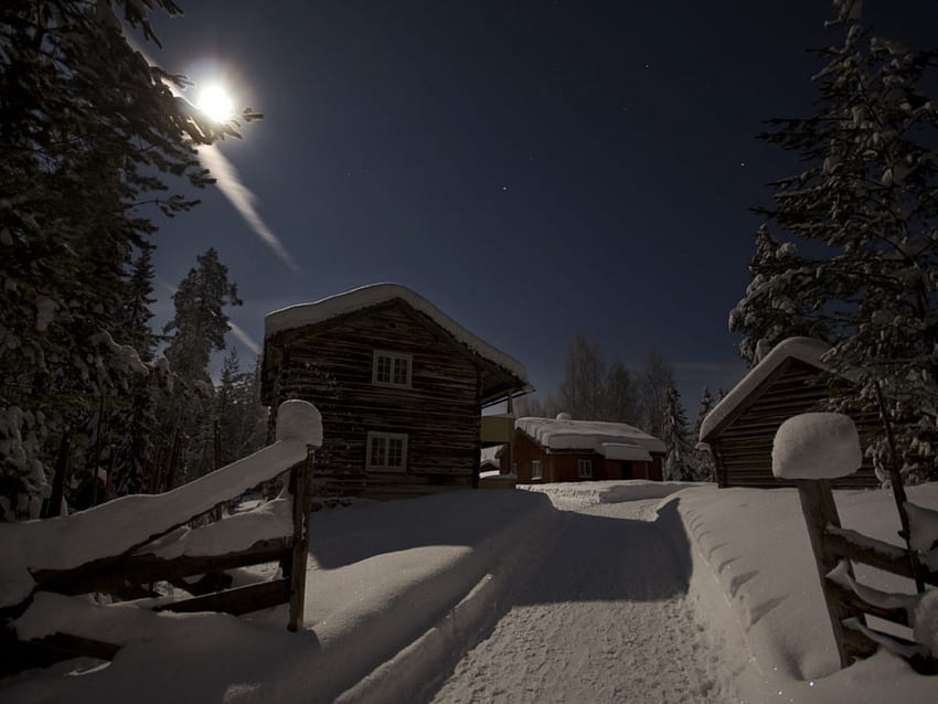 Paesaggio invernale al chiaro di luna a 24 C sotto zero Brrrrzz, paesaggio invernale, chiaro di luna Sfondo HD