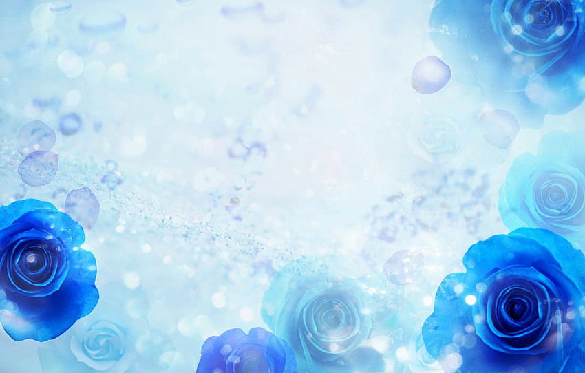 Licht, Blau, Abstraktion, Blendung, Collage, , Rose für , Abschnitt цветы, Light Blue Roses HD-Hintergrundbild