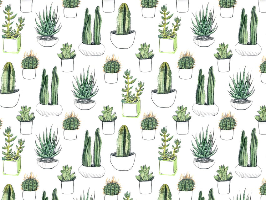 Cute Aesthetic Succulent Wallpapers  Top Free Cute Aesthetic Succulent  Backgrounds  WallpaperAccess