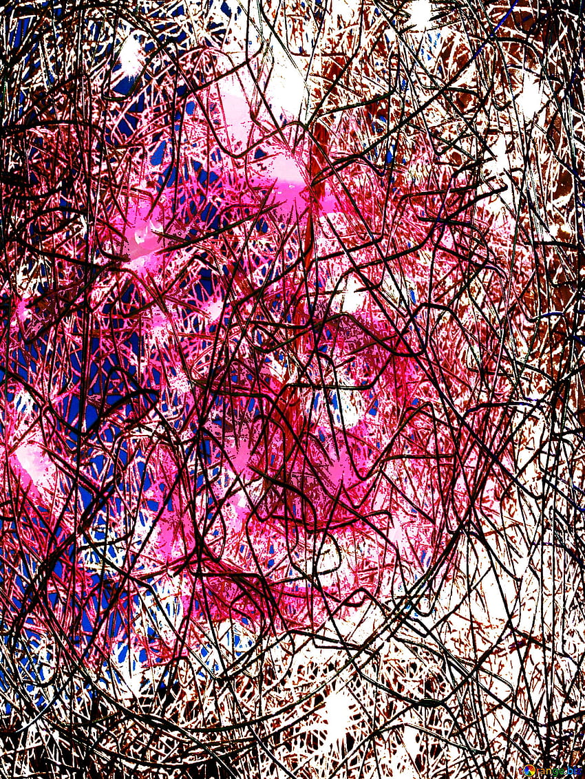 Snowflakes On Red Rose Flower Chaotic Background On CC BY ใบอนุญาต Stock Fx №162288 วอลล์เปเปอร์โทรศัพท์ HD