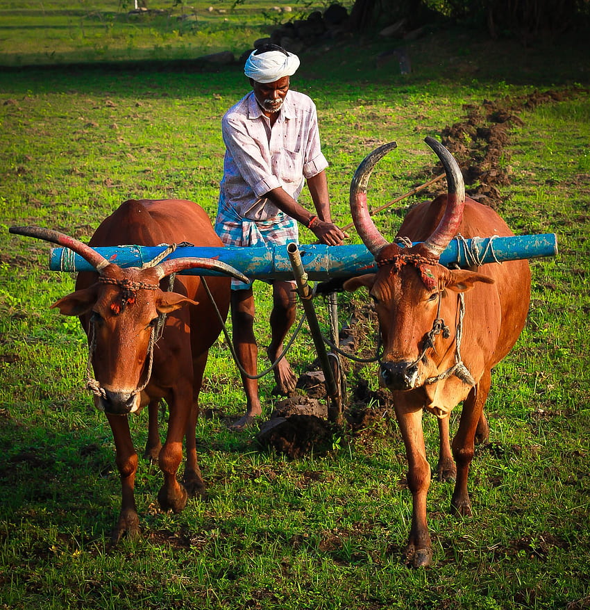 Budget Union Budget 2023 Stepping stone towards Aatmanirbhar agriculture   Times of India